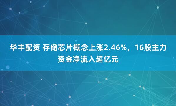 华丰配资 存储芯片概念上涨2.46%，16股主力资金净流入超亿元